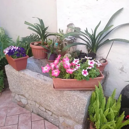 לינה וארוחת בוקר Beranu וילסימיוס