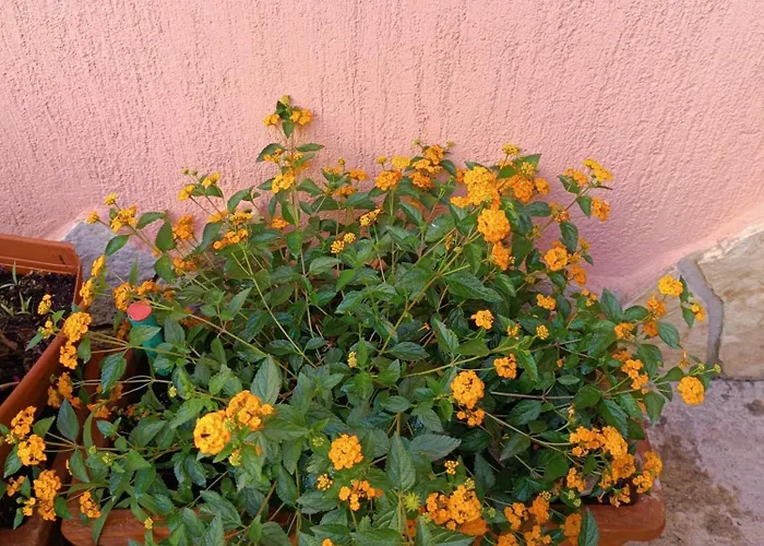 Beranu Bed & Breakfast