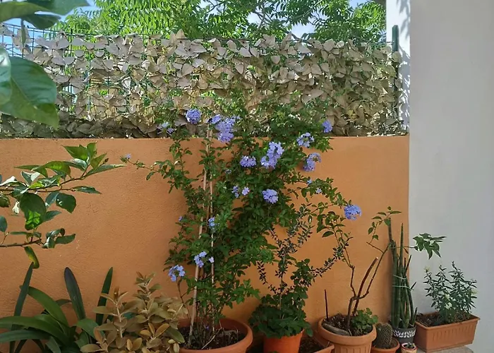 Bed & Breakfast Beranu Villasimius