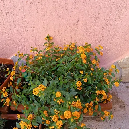 Beranu Frühstückspension