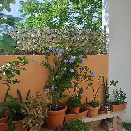 Nocleg ze śniadaniem Beranu Villasimius