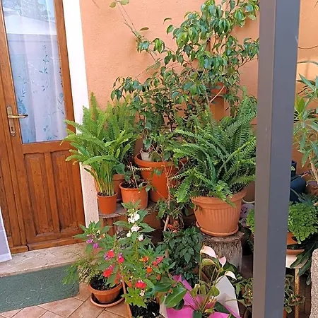 Beranu Гостевой дом 3*